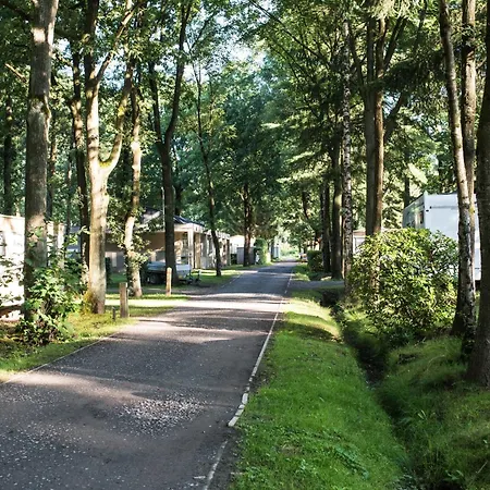 Het Veen Luxury tent Brecht