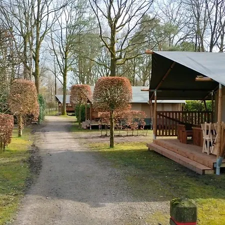 Het Veen